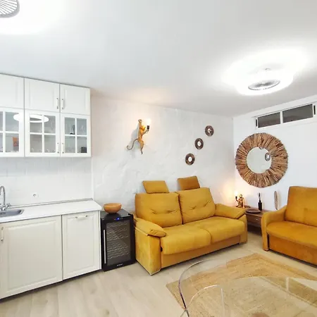 Luxury Ocean View Apartment